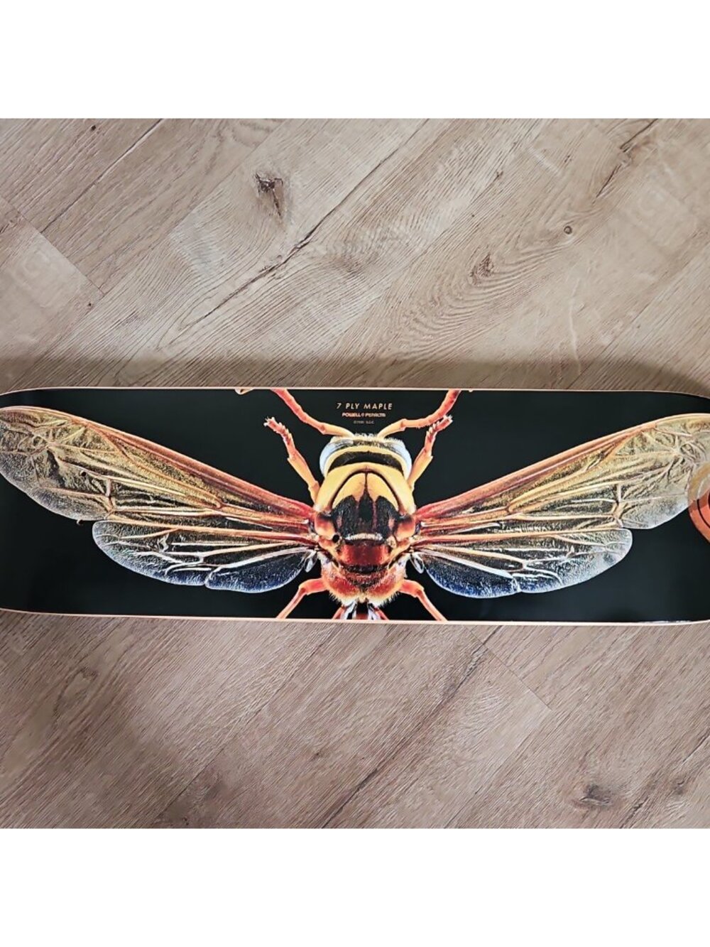 Powell Peralta Flight Skateboard Deck 2020 AOP Wasp/Bee Black 7 Ply Maple 8''
